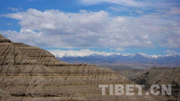 The stunning landscape of the Zhada clay forest in Nagri, Tibet. [Photo/China Tibet Online]