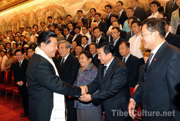 Jia Qinglin, chairman of the National Committee of CPPCC meets with representatives of the 2nd Congress of CAPDTC at the Great Hall of the People on June 30, 2010.