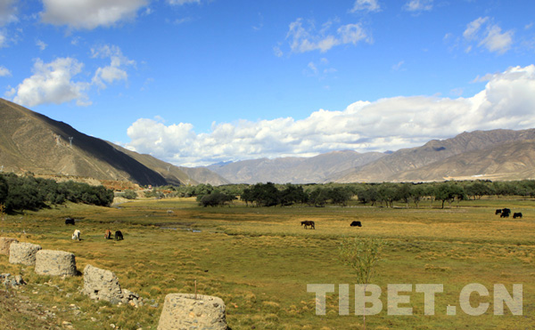 The charming scenery along the Sichuan-Tibet highway in autumn