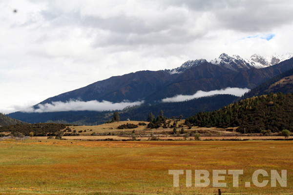 Colorful autumn at Lulang