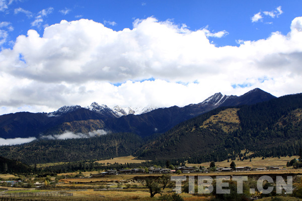 Picturesque Lulang in Autumn