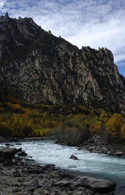 The charming autumn scenery of Nyingchi Prefecture in Tibet Autonomous Region, photo from Xinhua, Oct. 16.