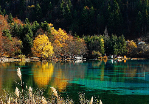 [Photo courtesy of Jiuzhaigou National Nature Reserve Administration ]