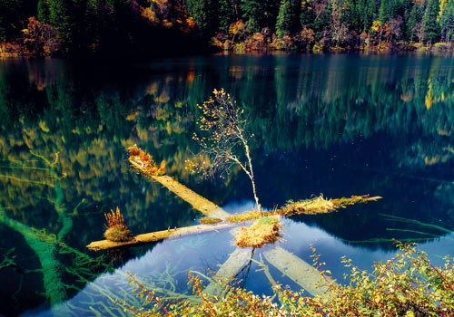 [Photo courtesy of Jiuzhaigou National Nature Reserve Administration ]