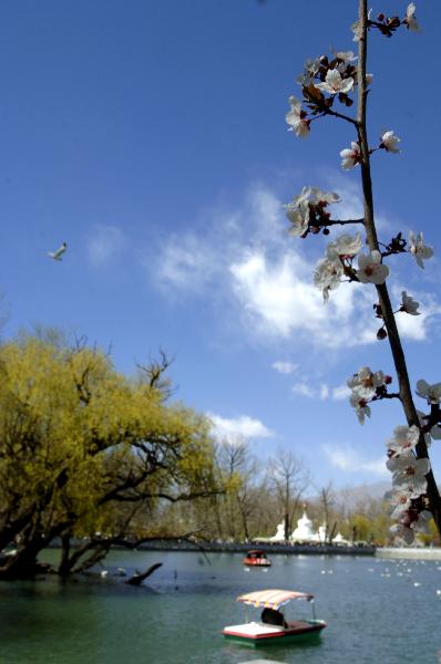 People take boats on the lake in the park in Lsasa, southwest China's Tibet Autonomous Region, April 3, 2011. Lhasa city is in a furious spring with the warming tempreture. Many people go outside to feel the breath of spring. [Photo/Xinhua]