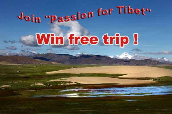 Join 'Passion for Tibet' activity to grasp free trip to holy land