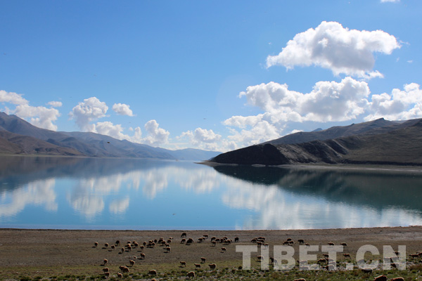Charming Yamzhog Yumco Lake