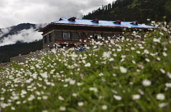 Photo taken on July 1, 2011 shows houses scattering on a vast grassland in Kangzha village of Nyingchi, southwest China's Tibet Autonomous Region.