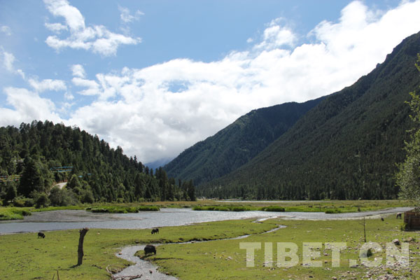 Kanam culture is studied to have originated by the Kanam River. [Photo/China Tibet Online]