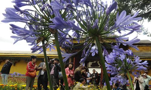 Visitors stroll in the Norbulingka Palace permeated with flower fragrance in Lhasa on August 13. [Photo/Xinhua]
