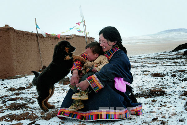 A Tibetan woman with her child plays with the puppy, photo from one of the prize-winning works of Mt. Qomolangma Photography Festival. [Photo/China Tibet Online]