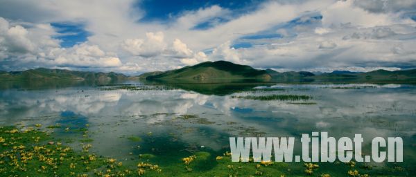 Photo shows a view of spring Tibet, southwestern China. [Photo/China Tibet Online]