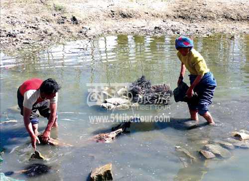 Tibetan people immerse the cow skins in river water. (Photo from www.51tibettour.com)