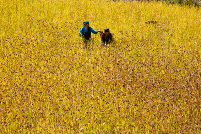 Walking in the fairy tale of autumn [Photo/www.baidu.com]