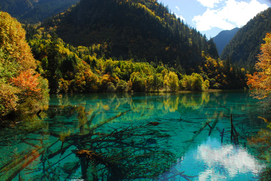 Water in the lake in the Jiuzhai Valley of Sichuan Province is clear and transparent, presenting pebbles, waterweeds and dead twigs to the naked eye. [Photo by Sujie from CRIENGLISH.com]