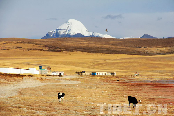 Photo shows a small village not far from the sacred mountain Kangrinboqê located in Nagri of northwestern Tibet Autonomous Region. [Photo/China Tibet Online]