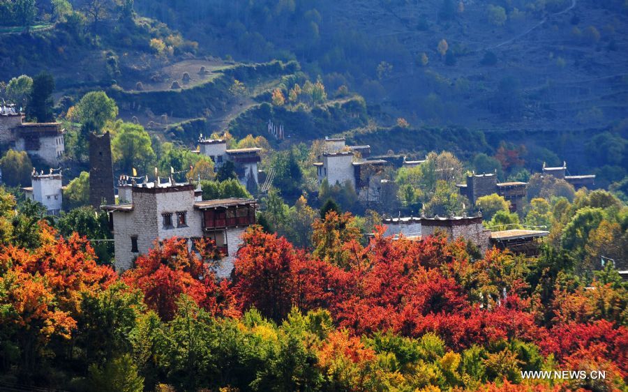 Photo taken on Nov. 4, 2011 shows the scenery the Tibetan houses among trees in Zhonglu Township, in Danba County of southwest China's Sichuan Province. As the autumn comes, the county has enters the time of year known for colorful leaves. (Xinhua/Jiang Hongjing) (hdt)