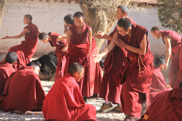 Monks are debating at the Sera Monastery.