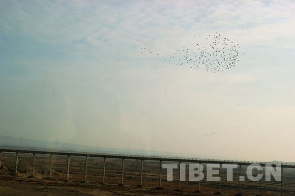 Winter sceneries of Gansu Province.