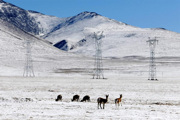 The Qinghai-Tibet grid interconnection project began a trial run on December 9, 2011, and ended Tibetan power grid's isolation.