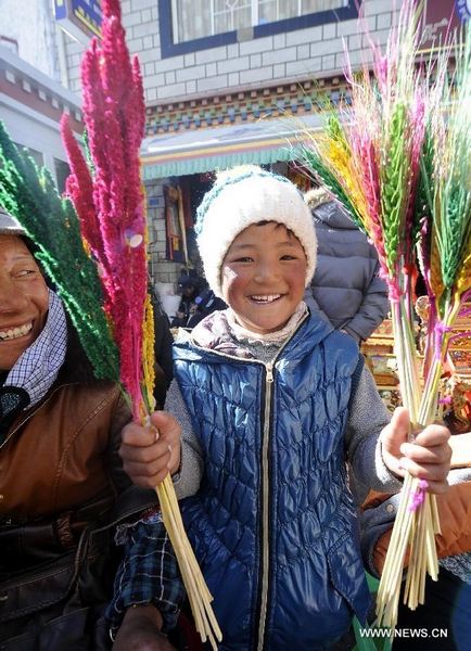 A Tibetan child shows the propitious barley ears in Lhasa, capital of southwest China's Tibet Autonomous Region, Feb. 6, 2012. Local residents of Lhasa started preparing food and home decorations to greet the coming Tibetan New Year, which falls on Feb. 22 this year.