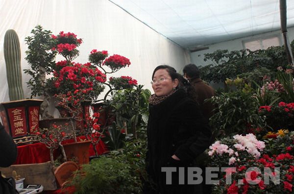 Local residents in Lhasa, capital of southwest China's Tibet, buy flowers and plants for the Tibetan New Year. [Photo/China Tibet Online]