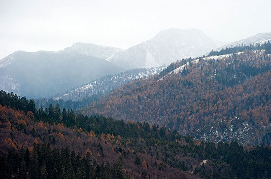 A light layer of snow covers the mountain in the distance at the Potatso National Park. The park is located in the Shangri-La scenic region in southwest China's Yunnan province. Encompassing some 1300 square kilometers, the park is home to diverse landscape, including forests, lakes and wetlands, as well as abundant wildlife. [Photo: sina.com.cn]