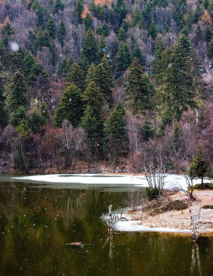 Snow falls onto the placid surface of a lake in Potatso National Park. [Photo: sina.com.cn]