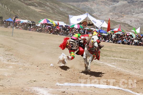 A horseman picks up a hada scarf on the horse back during the ongoing 4th Horse Racing Festival in Xaitongmoin County of Shigatse Prefecture, southern Tibet Autonomous Region. [Photo/China Tibet Online]