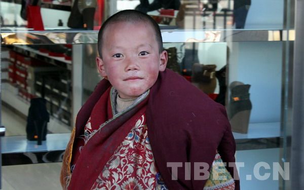 Tsering Dorje, a 7-year-old lama, comes to worship Buddha in Lhasa from Qinghai Province. [Photo/China Tibet Online]