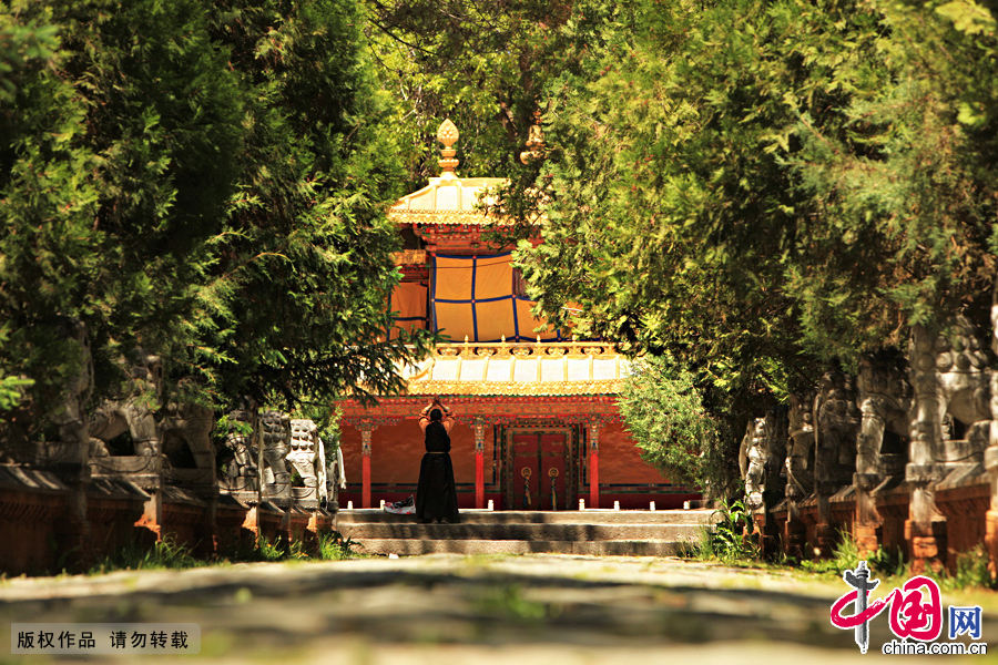 Norbu Lingka, which means "treasure park" in the Tibetan language, was the summer palace of the Dalai Lamas