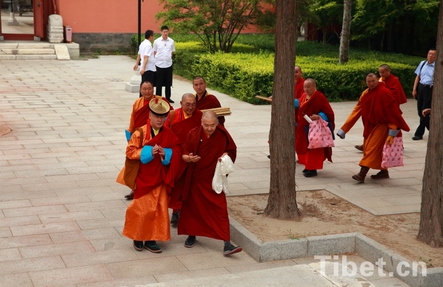 An eight-member delegation of Mongolian Buddhists headed by the Chairman of Mongolian Buddhist Association Damdin Suren Nace Daoerji pays a visit to Xihuang Temple in Beijing.